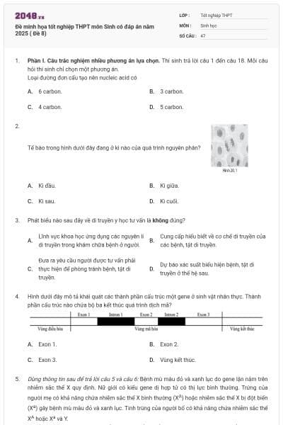 Đề minh họa tốt nghiệp THPT môn Sinh có đáp án năm 2025 ( Đề 8)