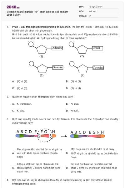 Đề minh họa tốt nghiệp THPT môn Sinh có đáp án năm 2025 ( Đề 9)