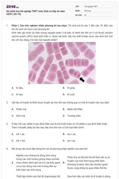Đề minh họa tốt nghiệp THPT môn Sinh có đáp án năm 2025 ( Đề 10)