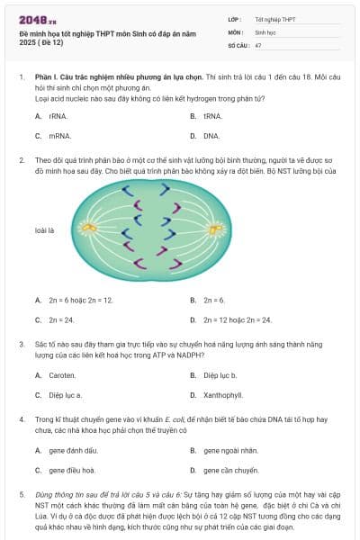 Đề minh họa tốt nghiệp THPT môn Sinh có đáp án năm 2025 ( Đề 12)