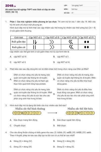 Đề minh họa tốt nghiệp THPT môn Sinh có đáp án năm 2025 ( Đề 13)