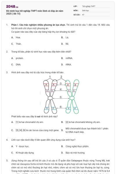 Đề minh họa tốt nghiệp THPT môn Sinh có đáp án năm 2025 ( Đề 15)