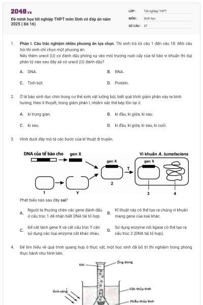 Đề minh họa tốt nghiệp THPT môn Sinh có đáp án năm 2025 ( Đề 16)