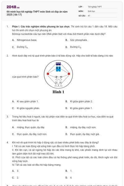 Đề minh họa tốt nghiệp THPT môn Sinh có đáp án năm 2025 ( Đề 17)