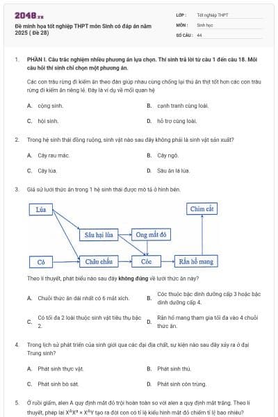 Đề minh họa tốt nghiệp THPT môn Sinh có đáp án năm 2025 ( Đề 28)