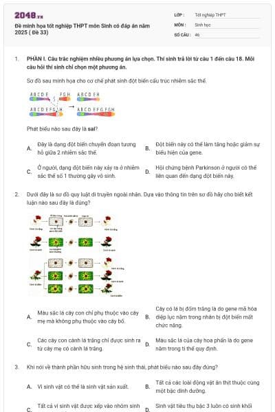 Đề minh họa tốt nghiệp THPT môn Sinh có đáp án năm 2025 ( Đề 33)
