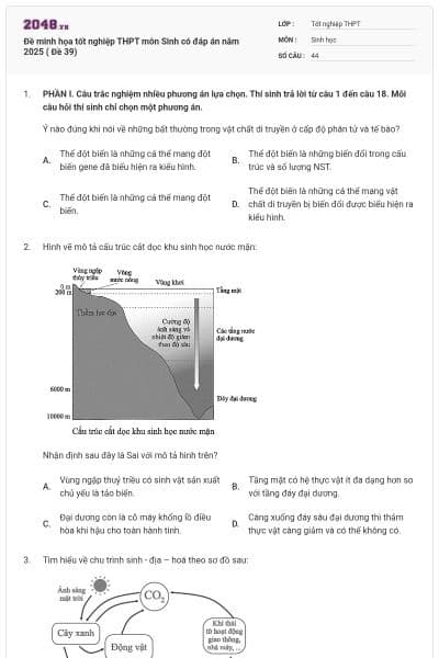 Đề minh họa tốt nghiệp THPT môn Sinh có đáp án năm 2025 ( Đề 39)