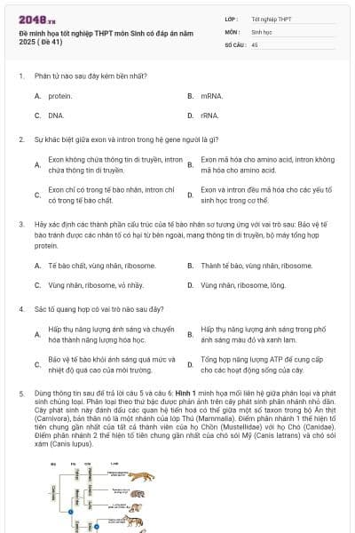 Đề minh họa tốt nghiệp THPT môn Sinh có đáp án năm 2025 ( Đề 41)