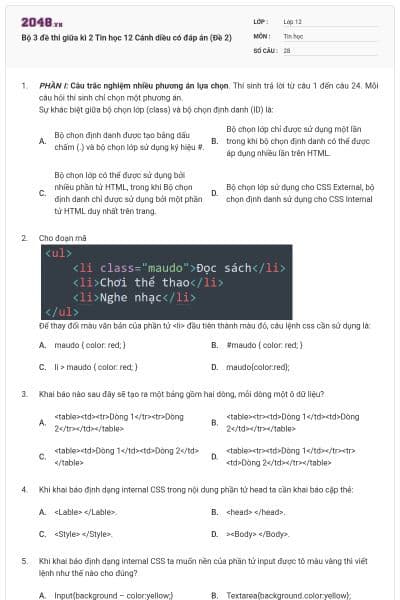 Bộ 3 đề thi giữa kì 2 Tin học 12 Cánh diều có đáp án (Đề 2)