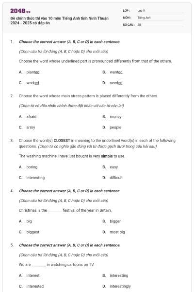 Đề chính thức thi vào 10 môn Tiếng Anh tỉnh Ninh Thuận 2024 - 2025 có đáp án