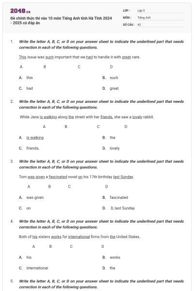 Đề chính thức thi vào 10 môn Tiếng Anh tỉnh Hà Tĩnh 2024 - 2025 có đáp án