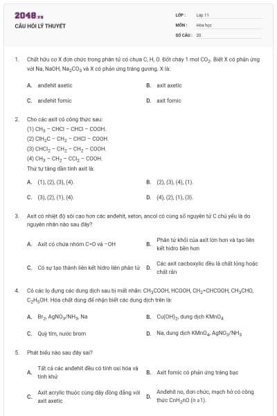 CÂU HỎI LÝ THUYẾT