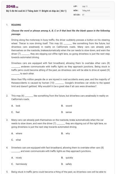 Bộ 5 đề thi cuối kì 2 Tiếng Anh 11 Bright có đáp án ( Đề 1)