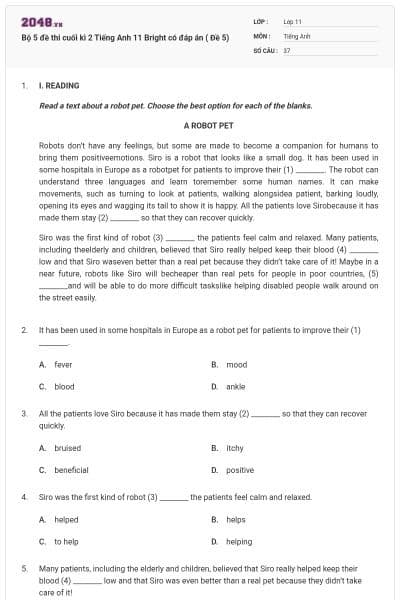 Bộ 5 đề thi cuối kì 2 Tiếng Anh 11 Bright có đáp án ( Đề 5)
