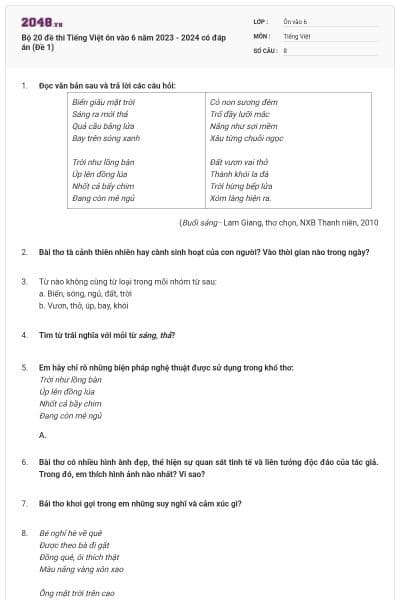 Bộ 20 đề thi Tiếng Việt ôn vào 6 năm 2023 - 2024 có đáp án (Đề 1)