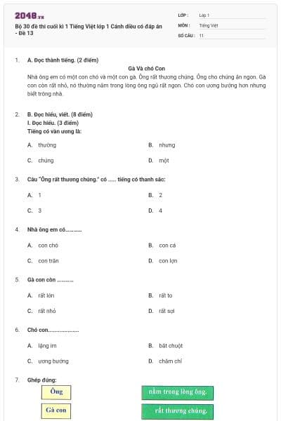 Bộ 30 đề thi cuối kì 1 Tiếng Việt lớp 1 Cánh diều có đáp án - Đề 13