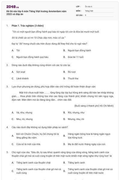 Đề thi vào lớp 6 môn Tiếng Việt trường Amsterdam năm 2022 có đáp án