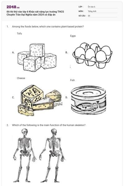 Đề thi thử vào lớp 6 Khảo sát năng lực trường THCS Chuyên Trần Đại Nghĩa năm 2024 có đáp án