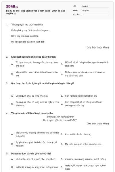 Bộ 20 đề thi Tiếng Việt ôn vào 6 năm 2023 - 2024 có đáp án (Đề 2)