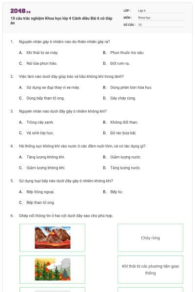 10 câu trắc nghiệm Khoa học lớp 4 Cánh diều Bài 6 có đáp án
