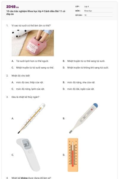 10 câu trắc nghiệm Khoa học lớp 4 Cánh diều Bài 11 có đáp án