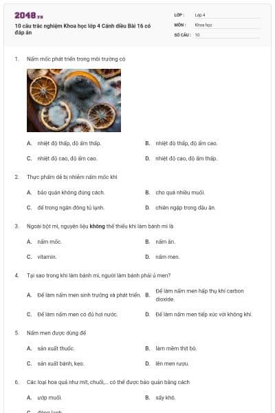 10 câu trắc nghiệm Khoa học lớp 4 Cánh diều Bài 16 có đáp án