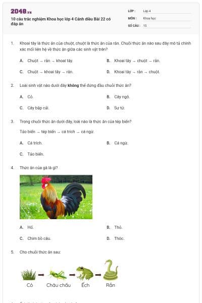 10 câu trắc nghiệm Khoa học lớp 4 Cánh diều Bài 22 có đáp án