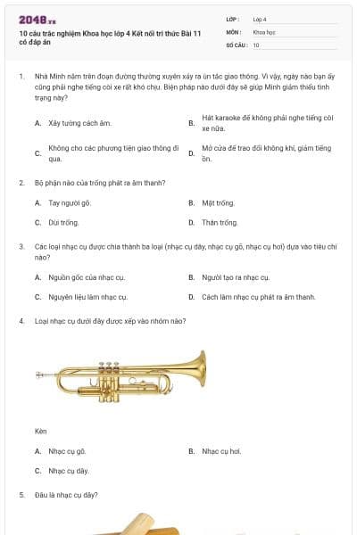 10 câu trắc nghiệm Khoa học lớp 4 Kết nối tri thức Bài 11 có đáp án