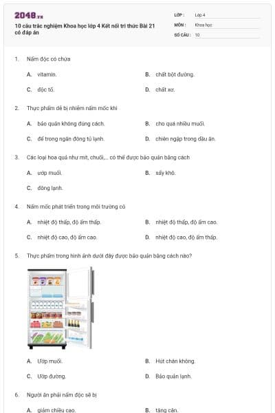 10 câu trắc nghiệm Khoa học lớp 4 Kết nối tri thức Bài 21 có đáp án