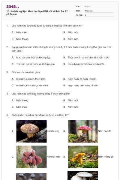 10 câu trắc nghiệm Khoa học lớp 4 Kết nối tri thức Bài 22 có đáp án