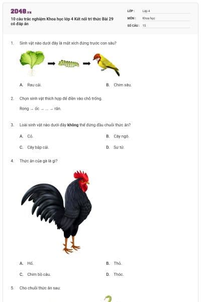 10 câu trắc nghiệm Khoa học lớp 4 Kết nối tri thức Bài 29 có đáp án