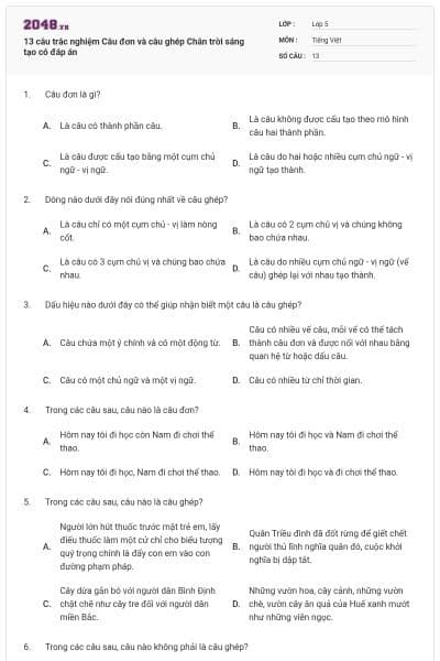 13 câu trắc nghiệm Câu đơn và câu ghép Chân trời sáng tạo có đáp án