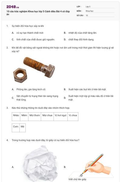 10 câu trắc nghiệm Khoa học lớp 5 Cánh diều Bài 4 có đáp án