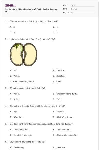 20 câu trắc nghiệm Khoa học lớp 5 Cánh diều Bài 9 có đáp án