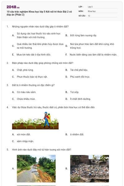 10 câu trắc nghiệm Khoa học lớp 5 Kết nối tri thức Bài 2 có đáp án (Phần 2)