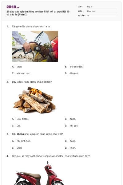 20 câu trắc nghiệm Khoa học lớp 5 Kết nối tri thức Bài 10 có đáp án (Phần 2)