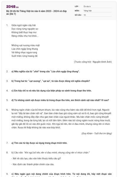 Bộ 20 đề thi Tiếng Việt ôn vào 6 năm 2023 - 2024 có đáp án (Đề 7)