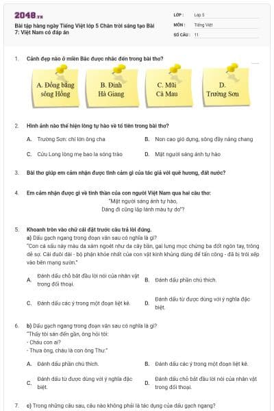 Bài tập hàng ngày Tiếng Việt lớp 5 Chân trời sáng tạo Bài 7: Việt Nam có đáp án