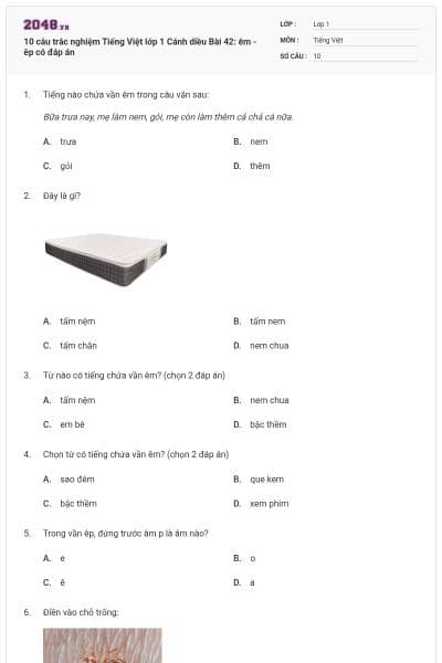 10 câu trắc nghiệm Tiếng Việt lớp 1 Cánh diều Bài 42: êm - êp có đáp án