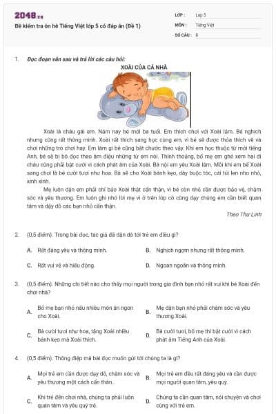 Đề kiểm tra ôn hè Tiếng Việt lớp 5 có đáp án (Đề 1)