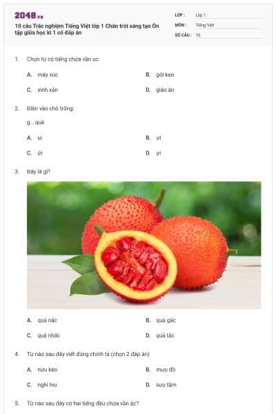 10 câu Trắc nghiệm Tiếng Việt lớp 1 Chân trời sáng tạo Ôn tập giữa học kì 1 có đáp án