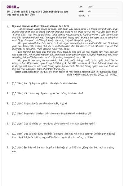 Bộ 10 đề thi cuối kì 2 Ngữ văn 6 Chân trời sáng tạo cấu trúc mới có đáp án - Đề 8