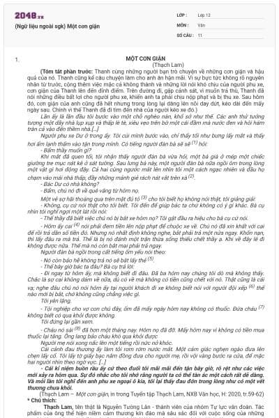 (Ngữ liệu ngoài sgk) Một cơn giận