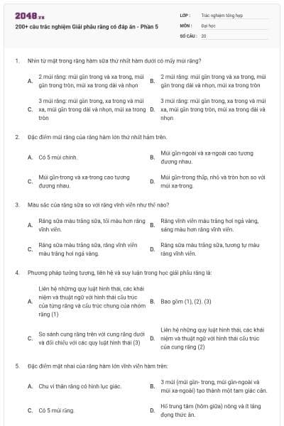 200+ câu trắc nghiệm Giải phẫu răng có đáp án - Phần 5