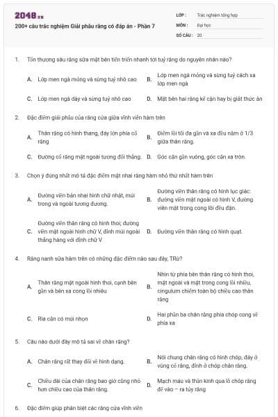200+ câu trắc nghiệm Giải phẫu răng có đáp án - Phần 7
