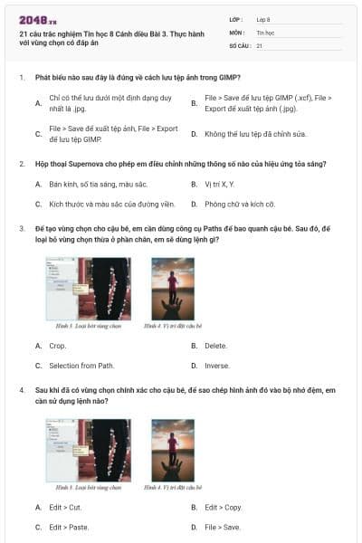 21 câu trắc nghiệm Tin học 8 Cánh diều Bài 3. Thực hành với vùng chọn có đáp án