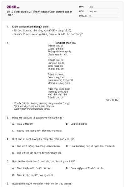 Bộ 10 đề thi giữa kì 2 Tiếng Việt lớp 2 Cánh diều có đáp án - Đề 4
