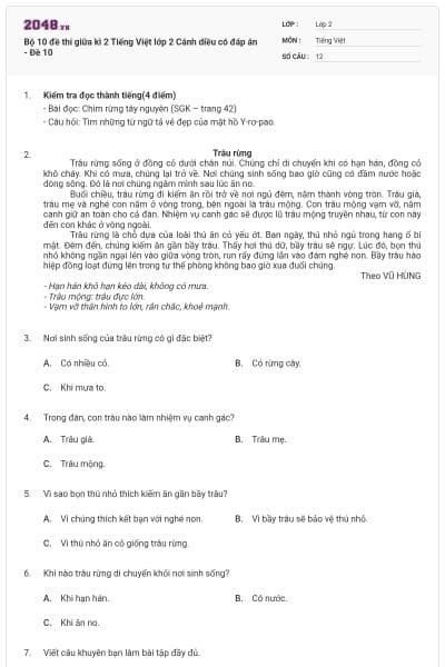 Bộ 10 đề thi giữa kì 2 Tiếng Việt lớp 2 Cánh diều có đáp án - Đề 10