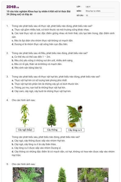 10 câu trắc nghiệm Khoa học tự nhiên 6 Kết nối tri thức Bài 34 (Đúng sai) có đáp án