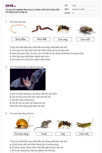 10 câu trắc nghiệm Khoa học tự nhiên 6 Kết nối tri thức Bài 36 (Đúng sai) có đáp án